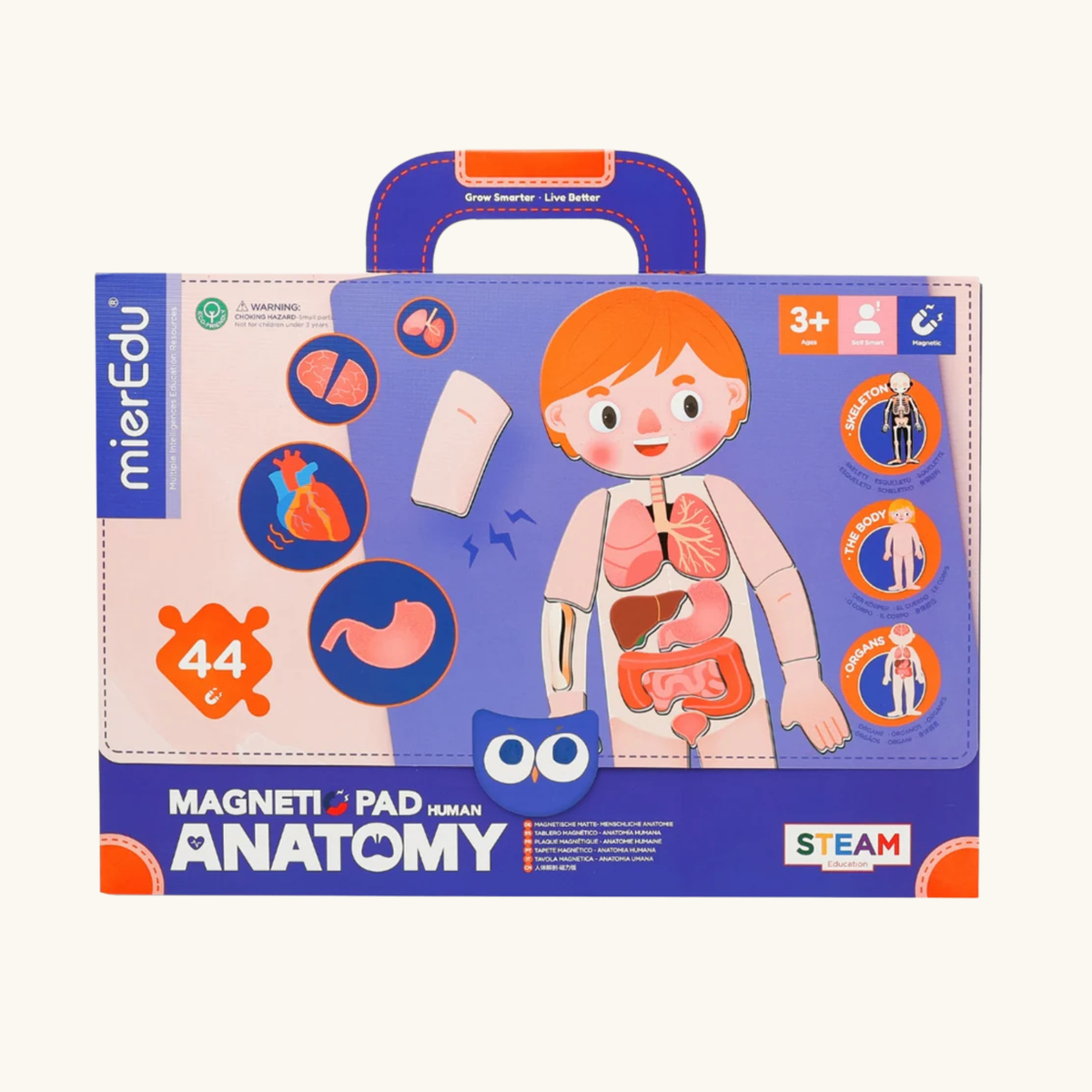 TAVOLA MAGNETICA CORPO UMANO