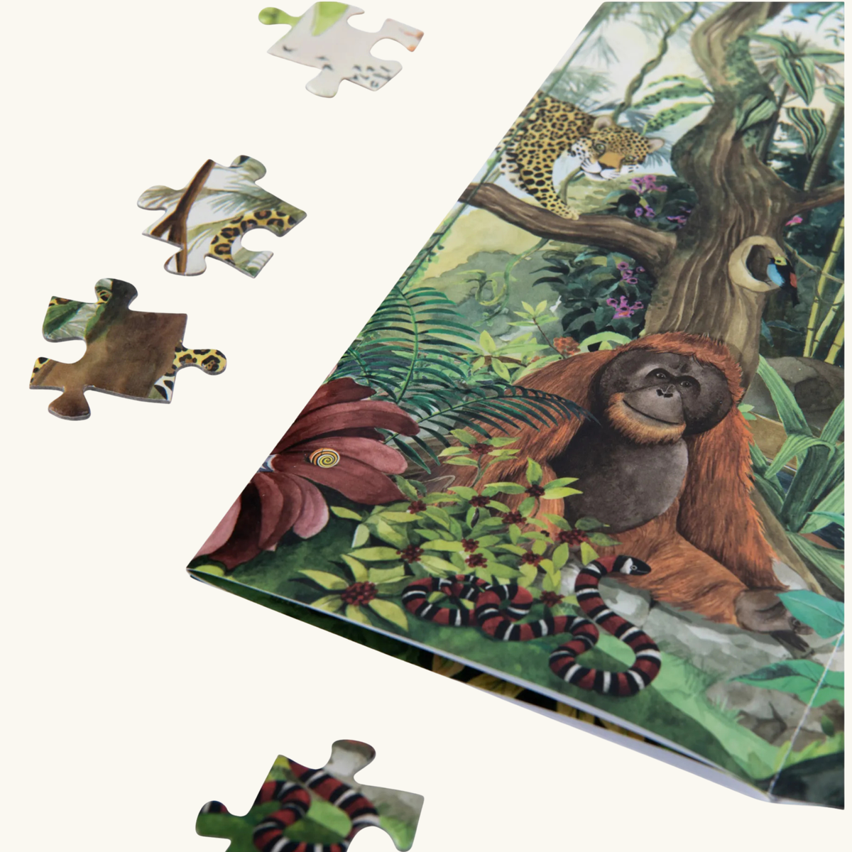 PUZZLE FORESTA TROPICALE