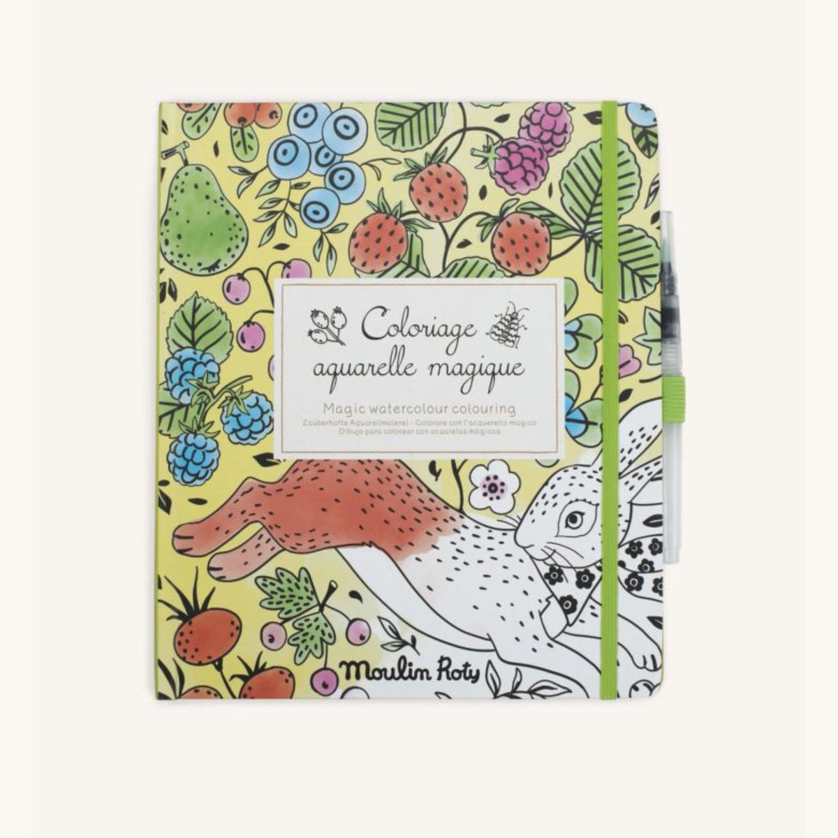 LIBRI ACQUERELLI MAGICI