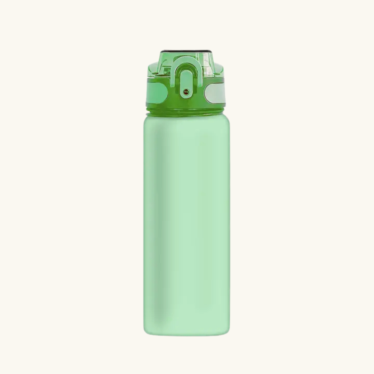 BORRACCIA TERMICA COLOR 595 ML
