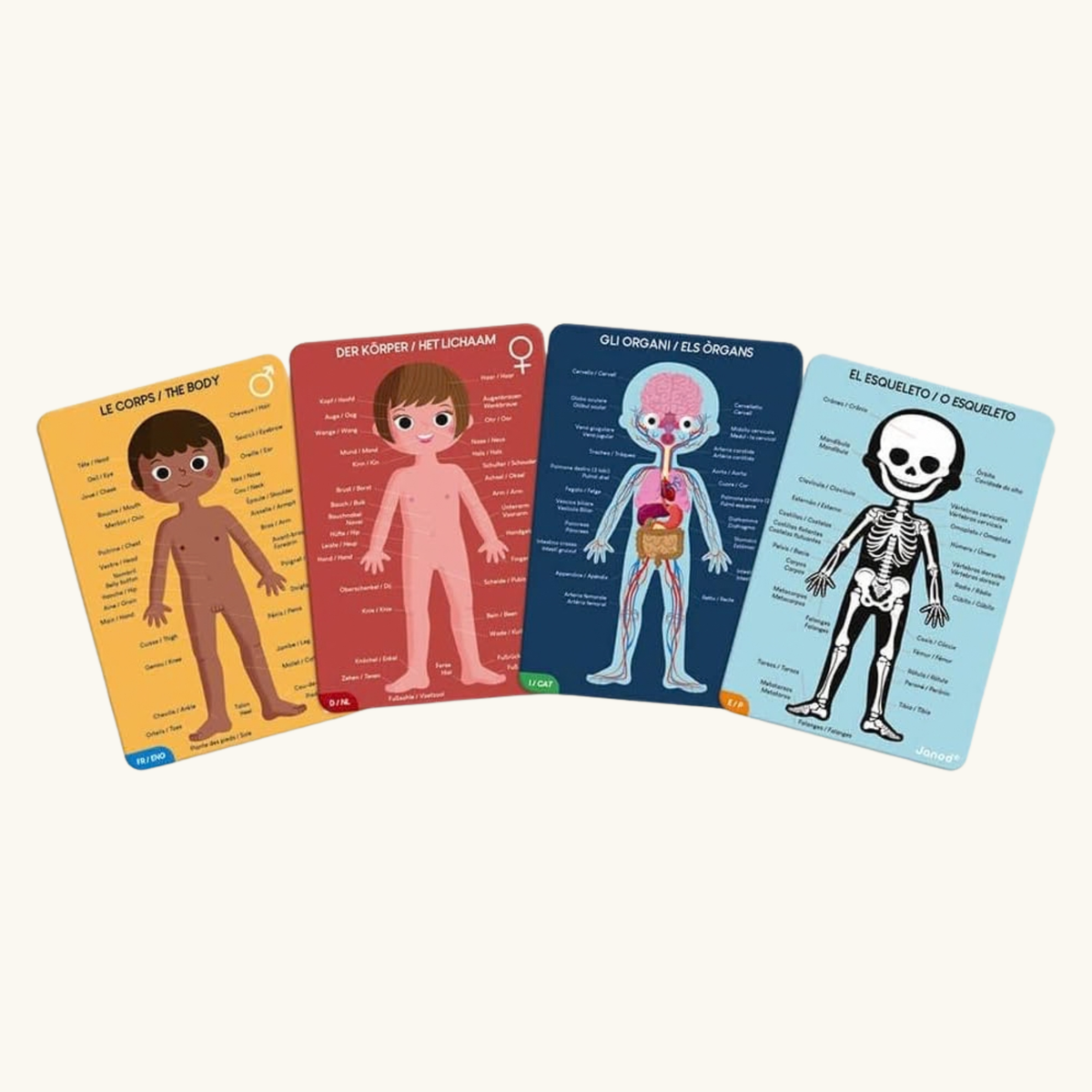 PUZZLE XXL CORPO UMANO
