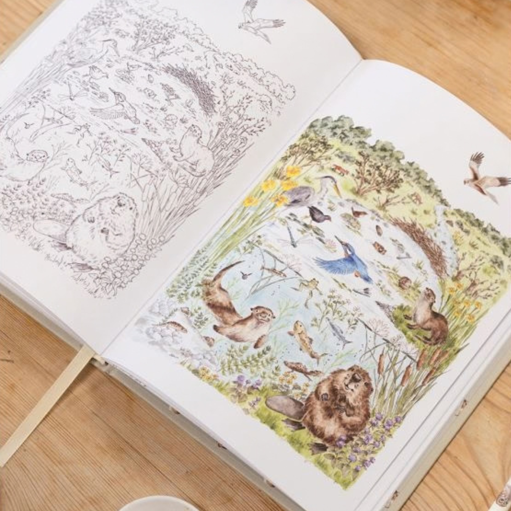 LIBRO CREATIVO DA COLORARE