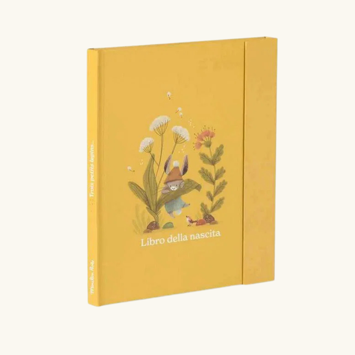 LIBRO NASCITA