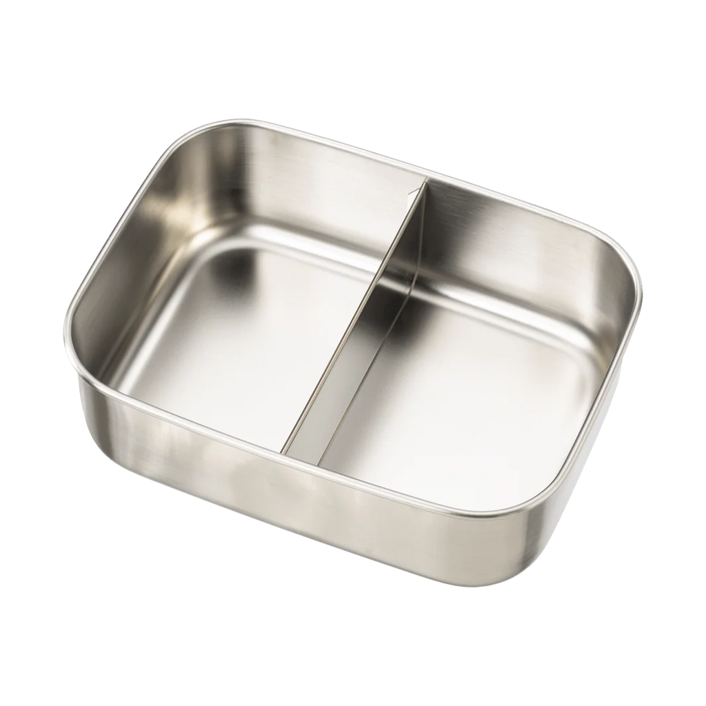 LUNCH BOX DINOSAURI