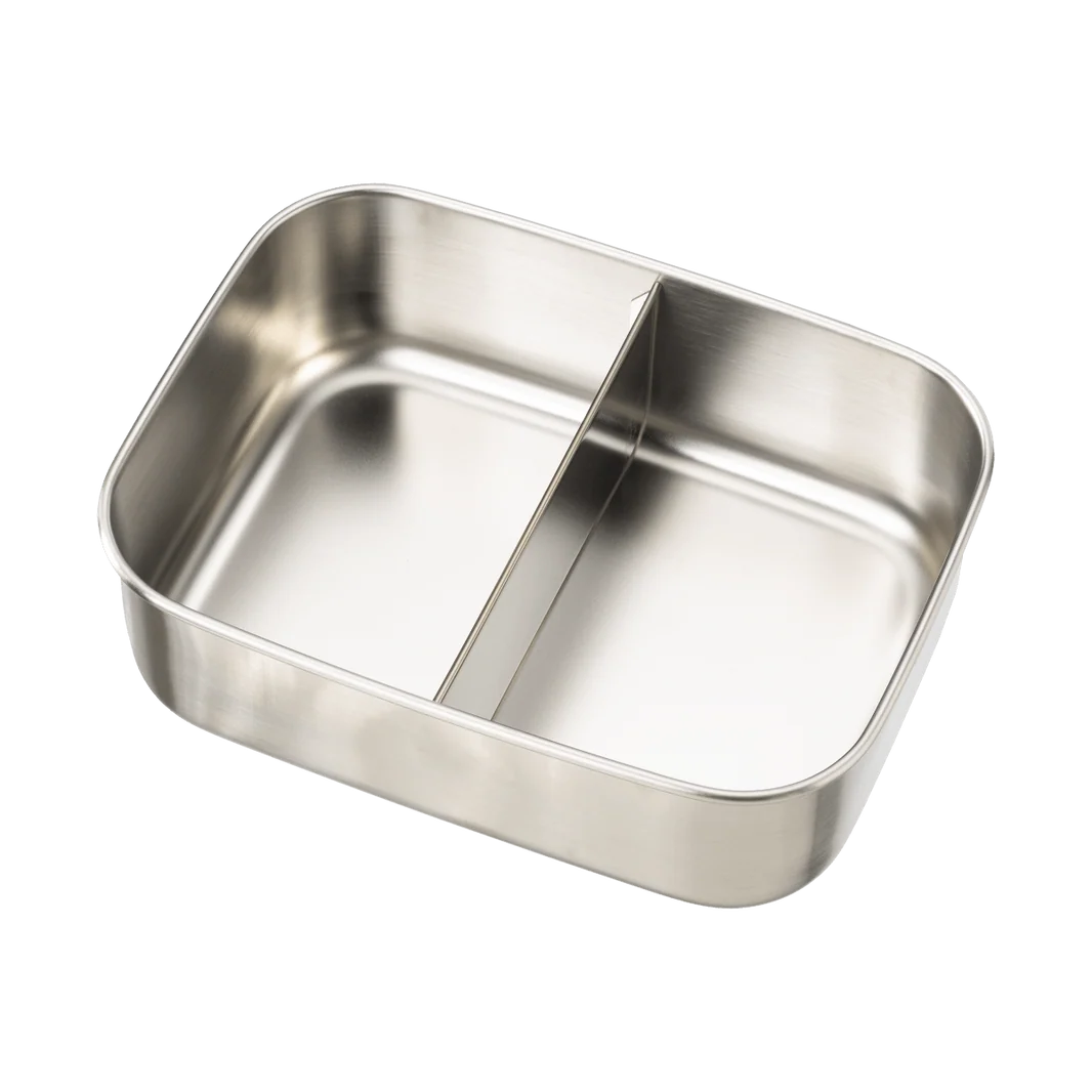 LUNCH BOX DINOSAURI