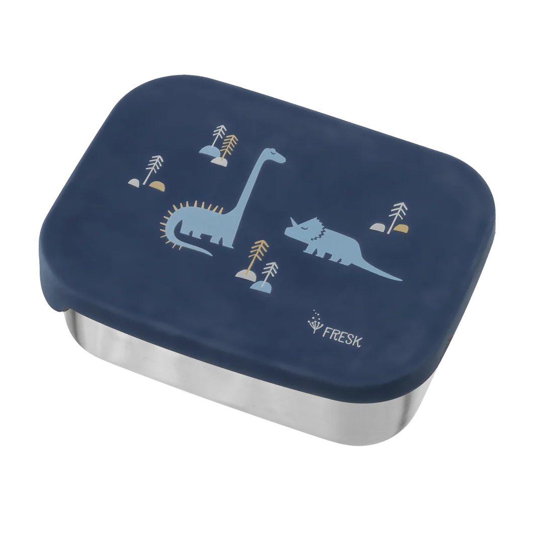 LUNCH BOX DINOSAURI